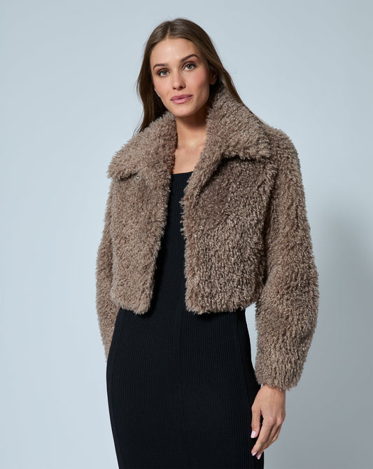 Teddy Faux Shearling Bomber Jacket